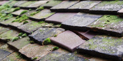 Redruth roof repair costs